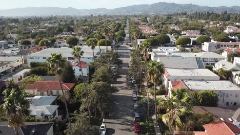 aerial view of palm tree lined street