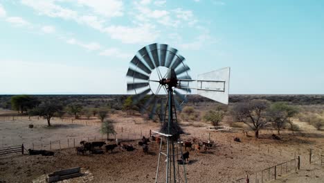 Disparo-Giratorio-De-Una-Bomba-De-Viento-Que-Bombea-Agua-En-África-Durante-Fuertes-Vientos-Con-Vacas-Al-Fondo