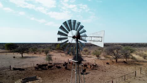 disparo giratorio de la bomba de viento bombeando agua en áfrica durante los vientos fuertes con vacas en el fondo