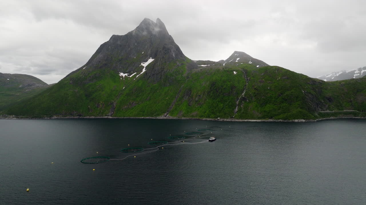 Aerial view of a salmon fish farm on the fjord near Mefjord on Senja Island, Northern Norway. Circular aquaculture nets, fishing boat and dramatic green mountains in misty weather