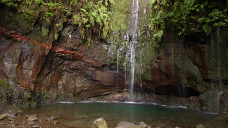 Wasserfall-Madeira-25-Brunnen-Cascada-Da-Risco-Exotischer-Tropischer-Dschungel