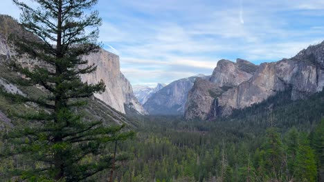 peaceful scene of yosemite national park during the daytime lush green pine forest and view of el capitan static shot