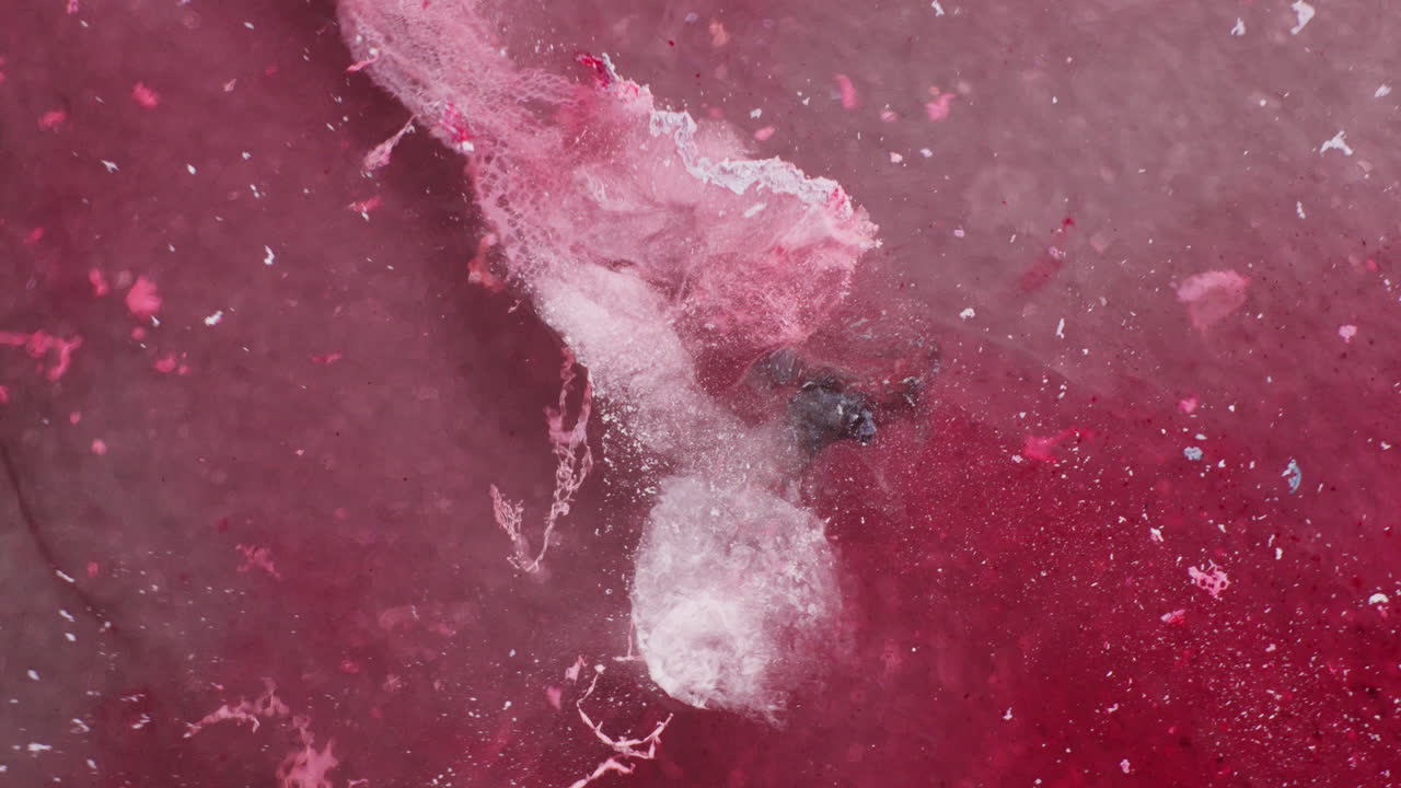 Macro shot of web like fibrous structure dissolving in magenta inks background