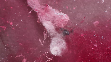 macro shot of web like fibrous structure dissolving in magenta inks background