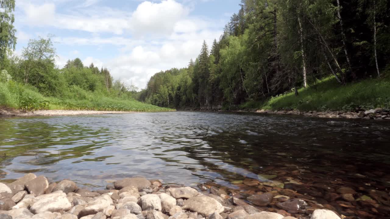 река течет через пышный лес