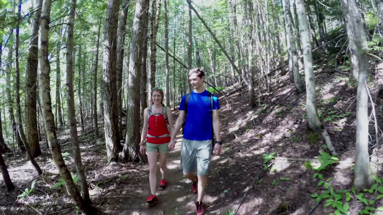 pareja caminando en el bosque 4k