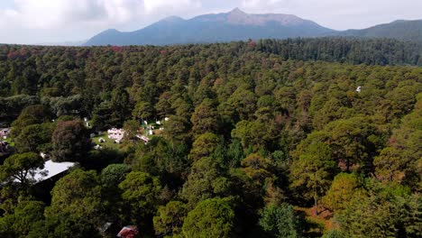 Flug-über-Den-Ajusco-Wald-In-Mexiko-Stadt