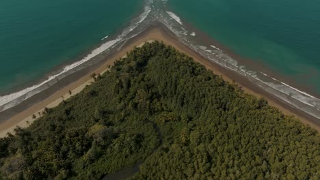 tropical dense forest at whale tail uvita beach in costa rica, central america