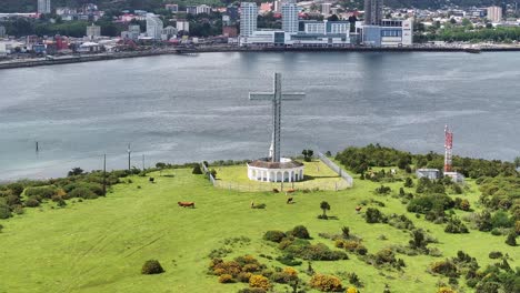 aerial view of mirador on tenglo island, puerto montt, chile