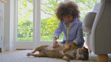 boy pretending to be veterinary surgeon at home examining pet french bulldog with stethoscope