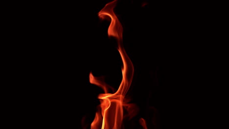 dancing fire flame in the night. mesmerizing tongues of blaze at black backdrop. close up.