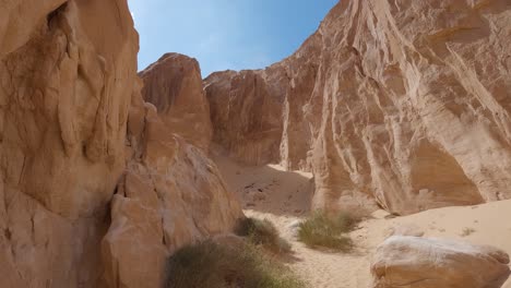 Pov-En-El-Cañón-De-Arenisca-En-Egipto-Con-Arbustos