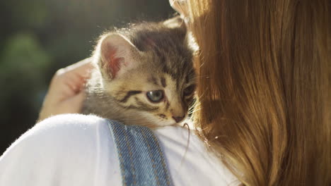 vista trasera de una mujer sosteniendo un lindo gatito pequeño en su hombro en el parque en un día de verano