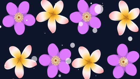 animation of colorful flowers and white dots moving against black background