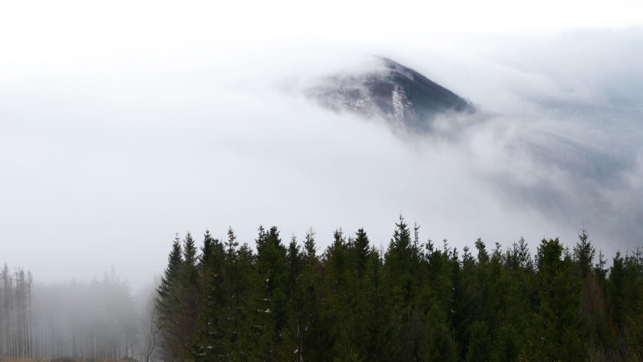 niebla que avanza sobre el bosque y las colinas circundantes durante una tarde soleada