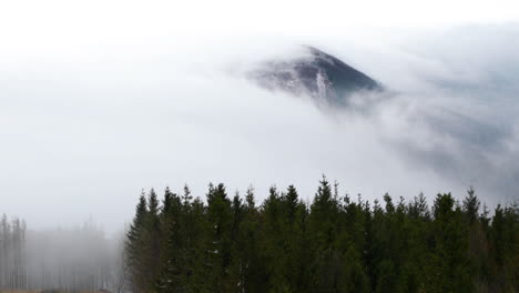 fog advancing over the forest and surrounding hills during a sunny afternoon