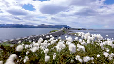 Atlantic-Ocean-Road-Norwegian-Construction-of-the-Century