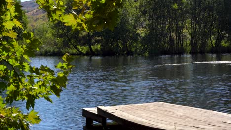 Pier-Am-See-Mit-Ruhigem-Wasser,-Das-Grüne-Blätter-Von-Bäumen-Reflektiert,-Paradiesische-Landschaft