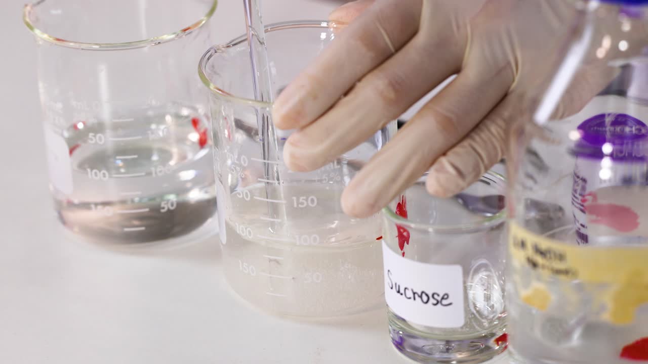 사크로즈와 용액과의 화학 반응을 보여주는