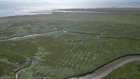 marshland rivers running dry at the coast in germany