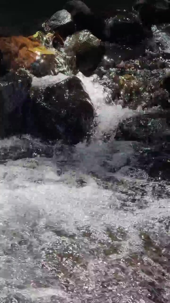 Acqua cristallina che scorre su rocce scure in un ruscello