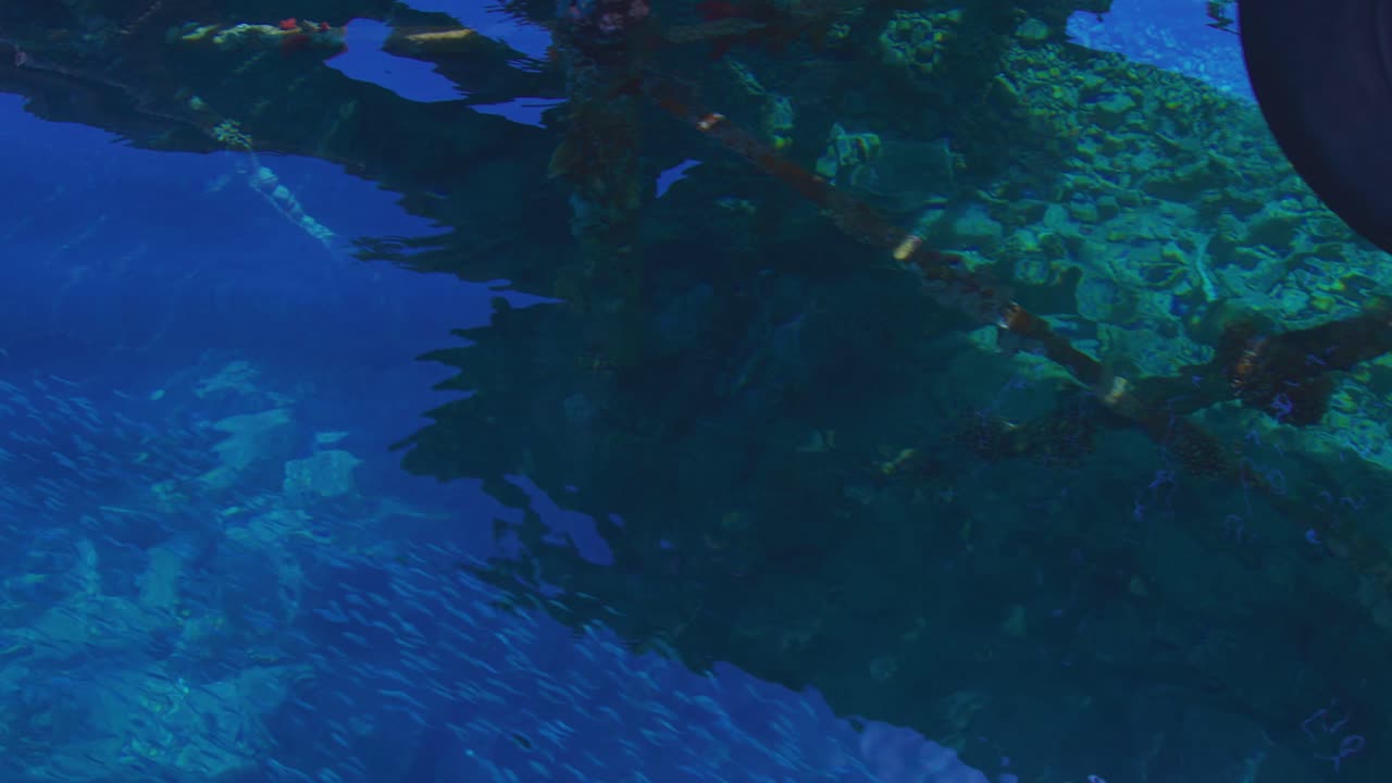 선착장 근처에는 작은 물고기가 있는 석호가 있습니다.