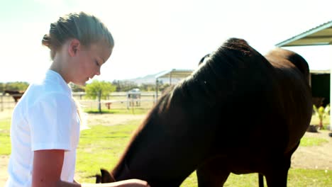chica acariciando el caballo en el rancho 4k