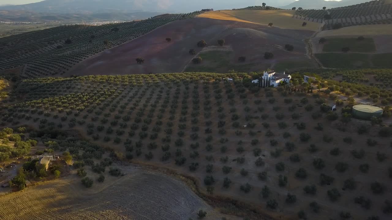 toma aérea de una gran villa española rodeada de olivos durante la puesta de sol