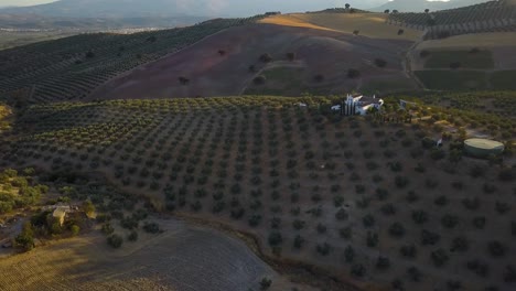 Toma-Aérea-De-Una-Gran-Villa-Española-Rodeada-De-Olivos-Durante-La-Puesta-De-Sol