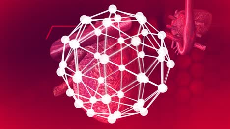 Animation-of-chemical-formulas-and-heart-rate-line-over-models-of-human-heart