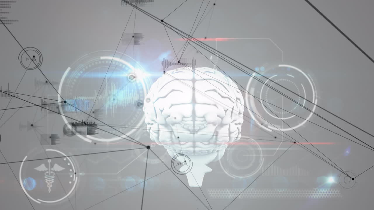 animación de la red de conexiones y procesamiento de datos sobre fondo blanco