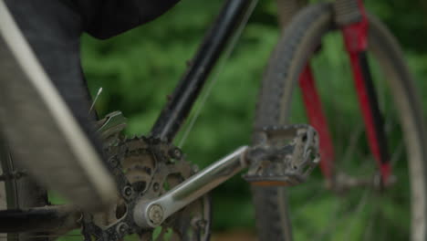 close-up of someone flipping the bicycle pedal backward using his foot, riding leisurely on a paved path surrounded by lush greenery, the background is beautifully blurred