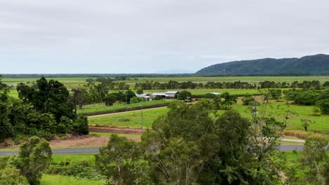 drone footage glides above a winding dirt road through lush farmland, sugarcane fields, and scattered trees under overcast daylight in port douglas, australia