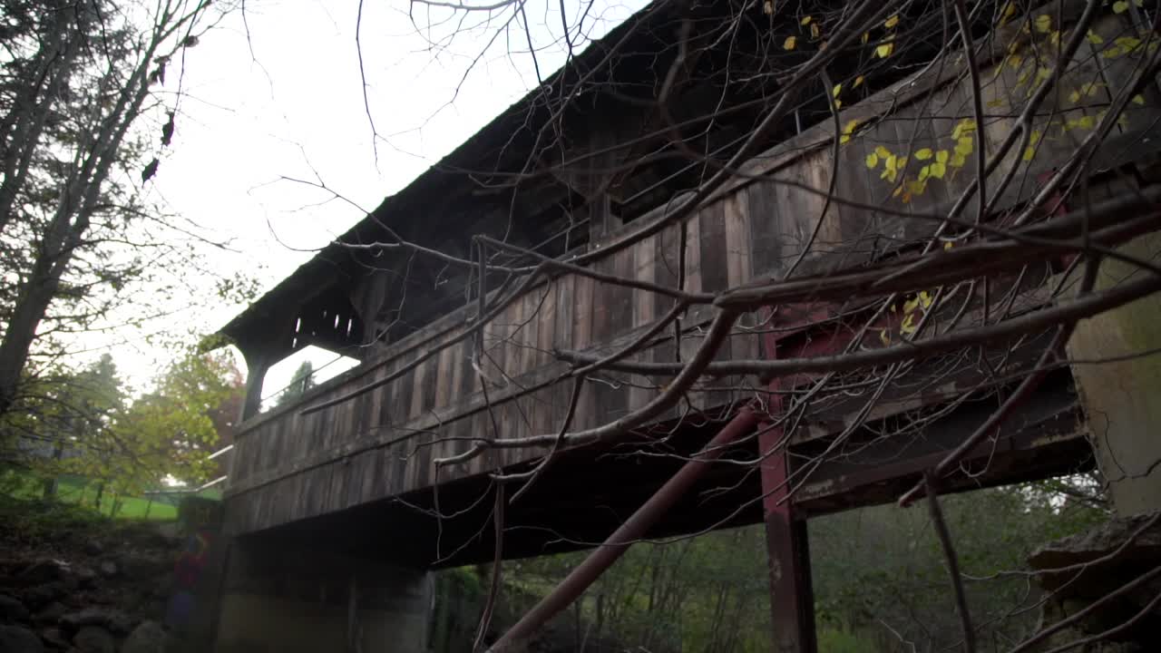 캐나다의 휘트비에 있는 쿨렌 가든스 센트럴 파크의 가을