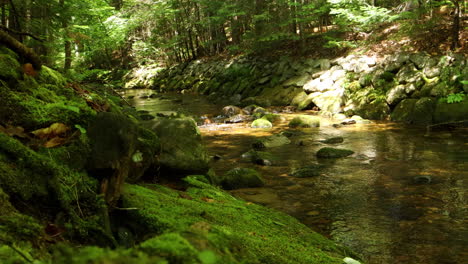 New-Hampshire-wilderness-4k-stationary-shot-of-man-made-stream-banked-by-rocks-covered-in-moss-and-plant-life