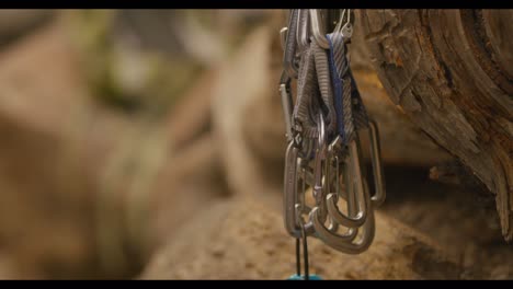 detail shot of carabiners