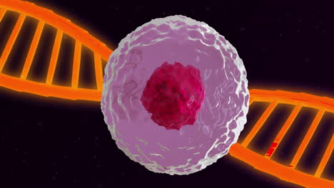 animación de células del cuerpo humano y cadena de adn sobre fondo negro
