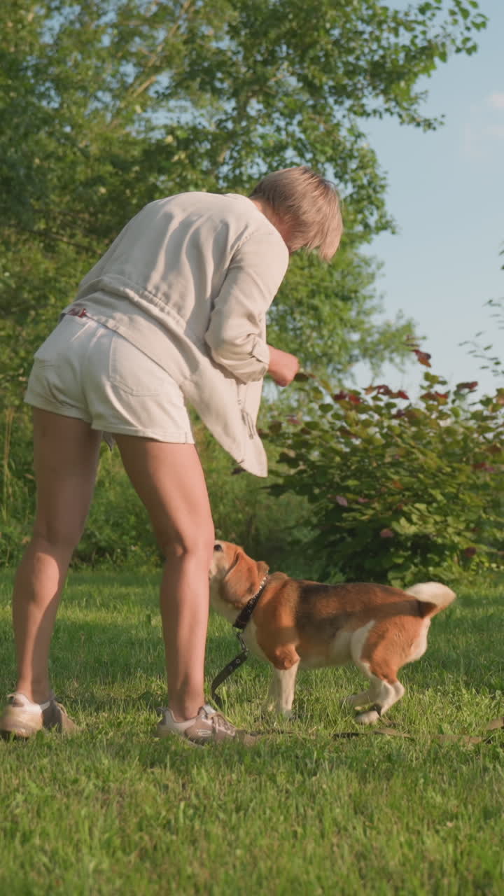 개 주인이 그녀의 개와 함께 즐겁게 춤을 추고, 그녀가 치료를 제공 할 때 흥분하여 그녀를 향해 뛰어, 나무로 둘러싸인 은 날씨 아래 울창한 녹색 정원에서 일어납니다.