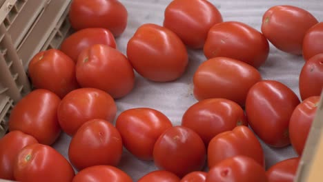 beautiful ripened tomatoes in the supermarket being grabbed and picked by a hand