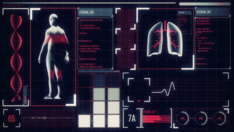 animation of the human body analyzed on a screen, lungs and heart beat analyzed, medical information