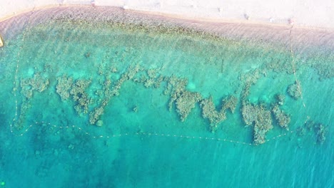 Eilat,-Israel-top-down-drone-view-moving-across-a-coral-reef-and-crystal-clear-waters-famous-for-tourism,-scuba-diving-and-viewing-marine-life