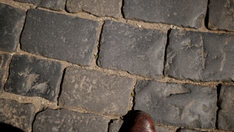 business man in a brown leather shoes stepping on the pavement, top view in the first person.