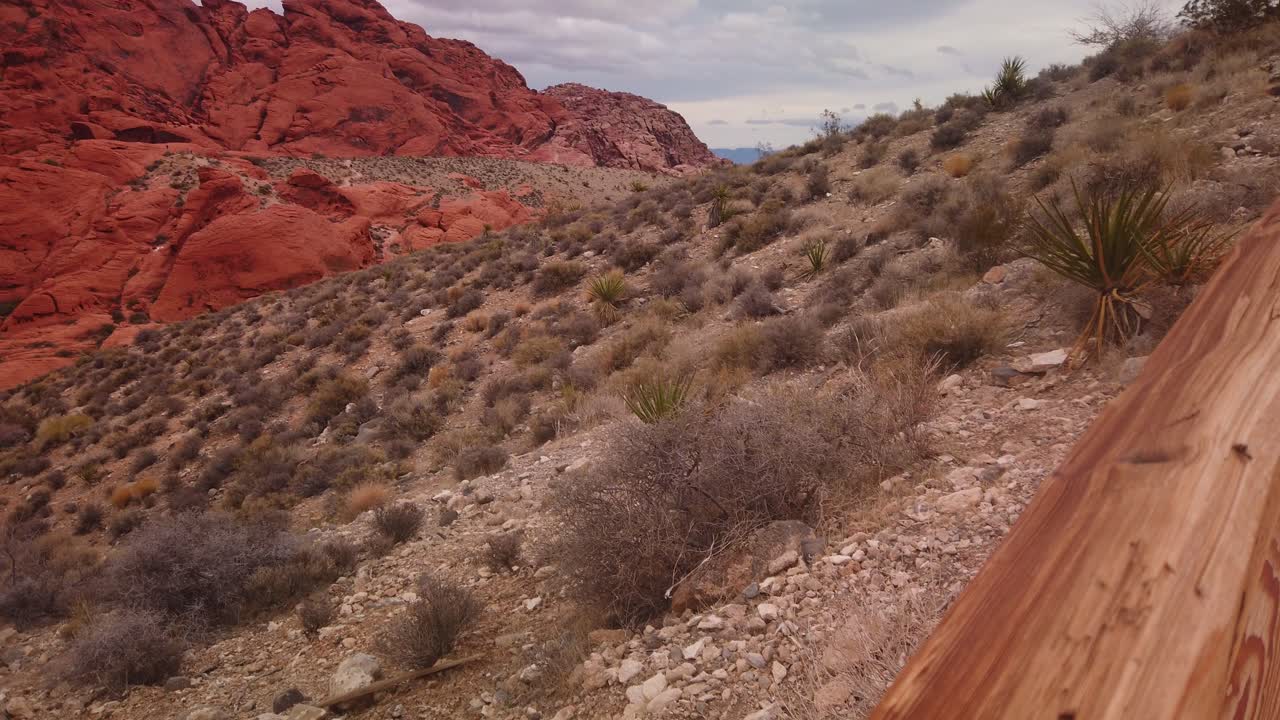 gimbal panorámico de primer plano de grano de madera a arbustos del desierto a formaciones rocosas de piedra arenisca en el cañón de red rock, nevada