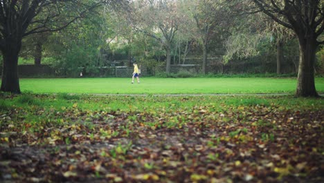 Man Throws Stick for Blonde Dog in Park in Autumn