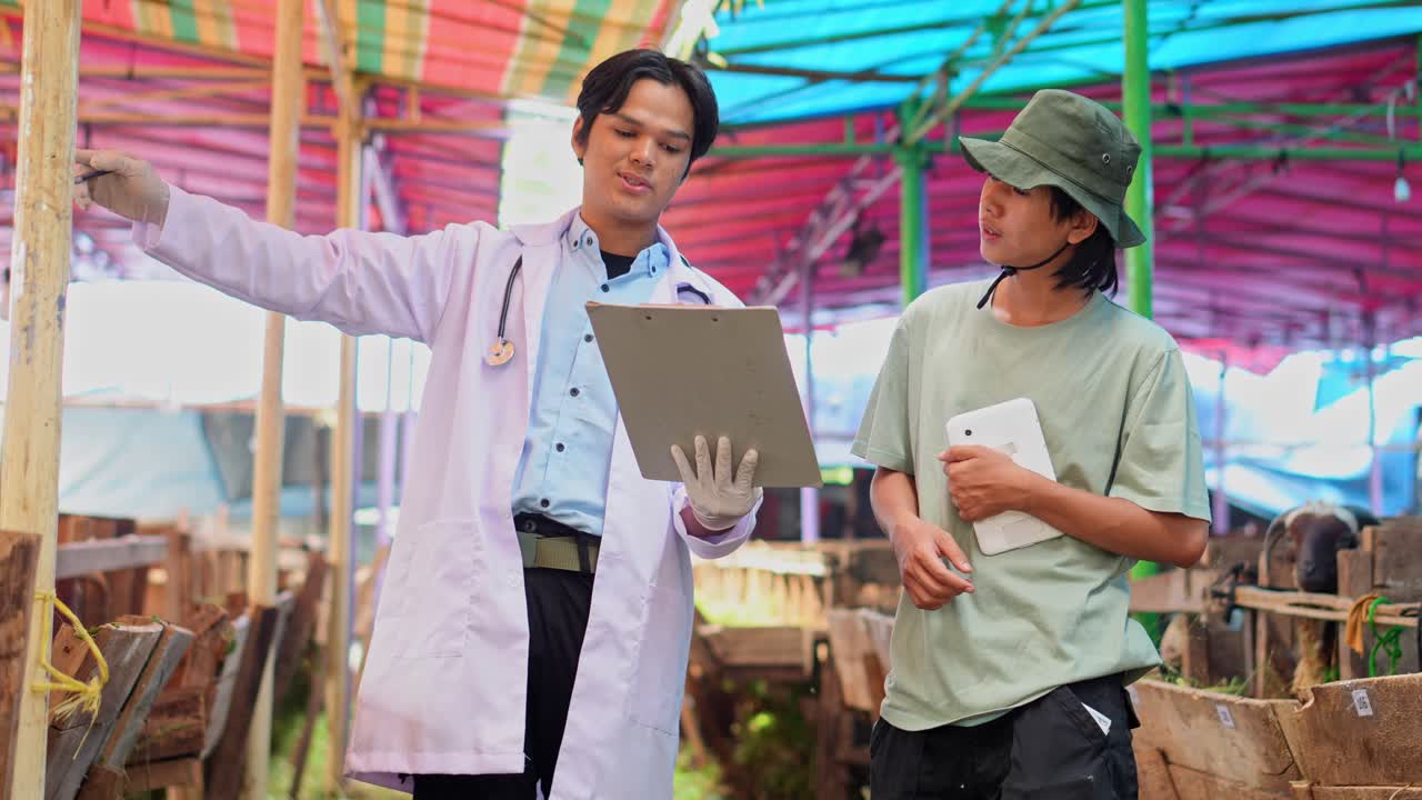 Farmer and Veterinarian Checking on Goats Discussing Animal Health in The Livestock Barn