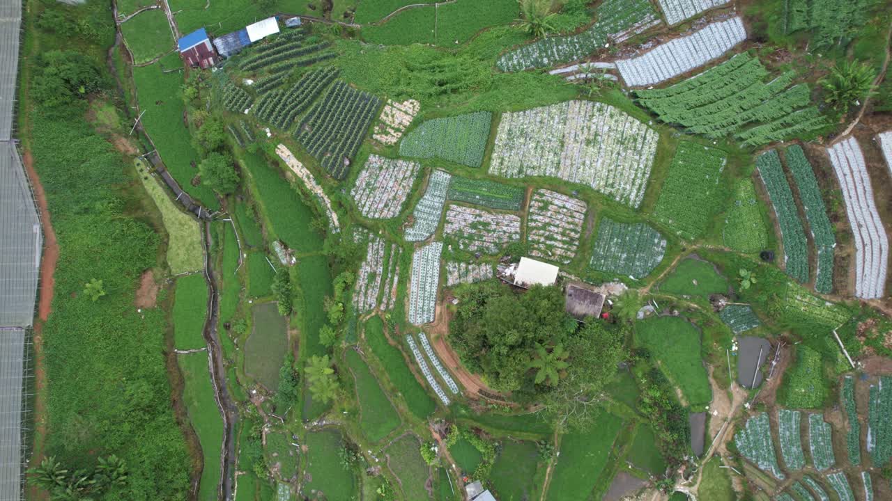 말레이시아의 카메론 하이랜드 지역 내의 브린창 지역의 일반 풍경