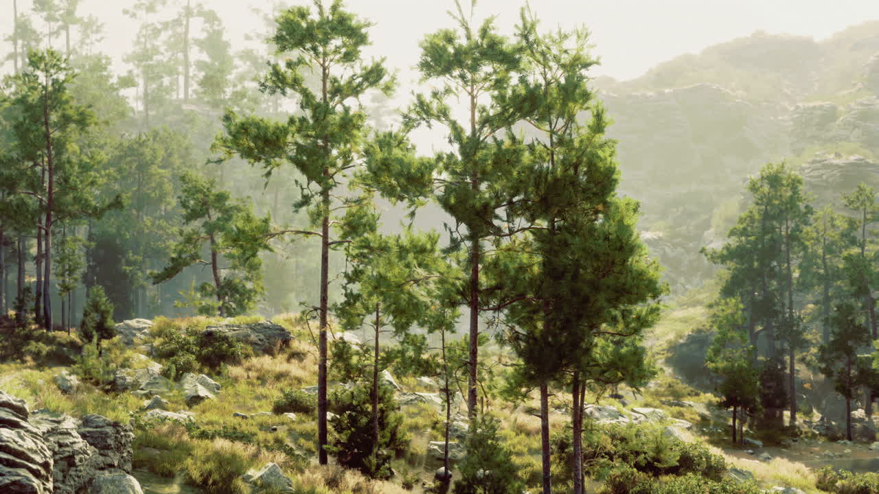 Lush green trees in a serene mountainous landscape during morning light