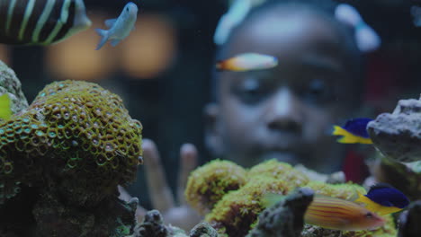 black-girl-looking-at-fish-in-aquarium-curious-child-watching-colorful-sea-life-swimming-in-tank-learning-about-marine-animals-in-underwater-ecosystem-inquisitive-kid-at-oceanarium