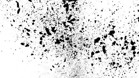 black powder explosion on white background.