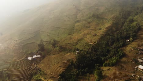 toma aérea cinematográfica de drones de terrazas de arroz en la región norte de sapa, vietnam